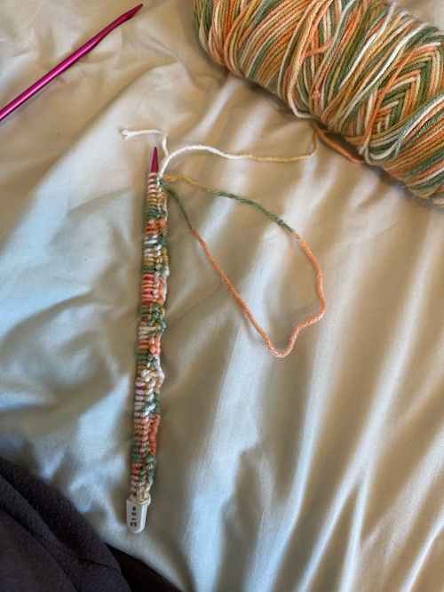 Begin With a Slip Knot and Cast On