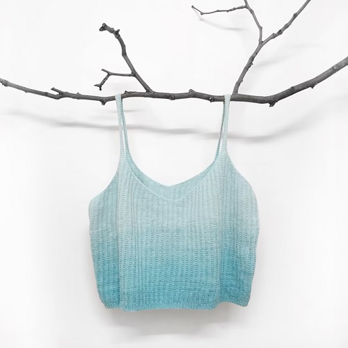 Summer Crop Top