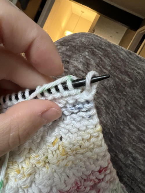 Forgetting to Slip the First Stitch