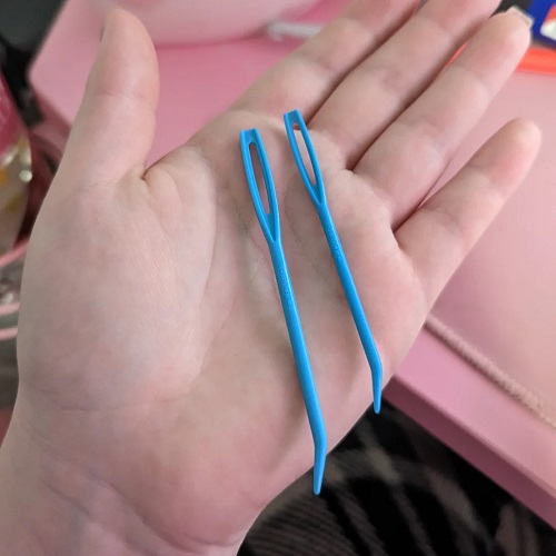 Darning Needle