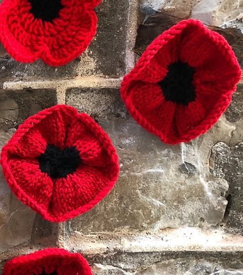 Knit Poppy