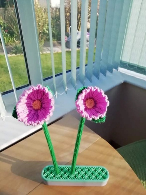 poppy flower