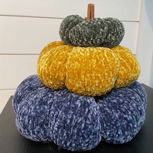 Veritable Velvet Pumpkin Patch