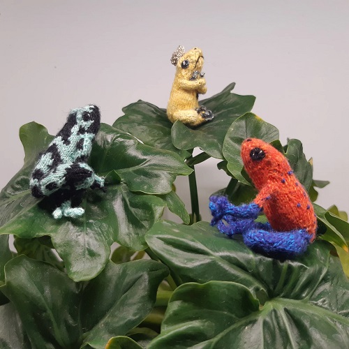 Group of Frogs 2