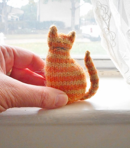 Tiny Window Cat