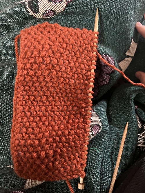 knitting Seed Stitch
