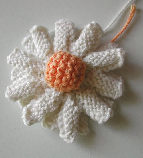 Double Daisy
