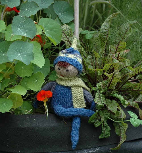 Julian the Shelf Elf
