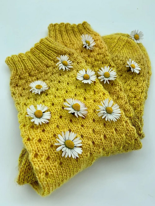 Chicky lace socks