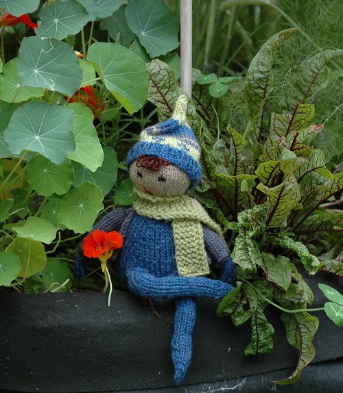 Julian the Shelf Elf