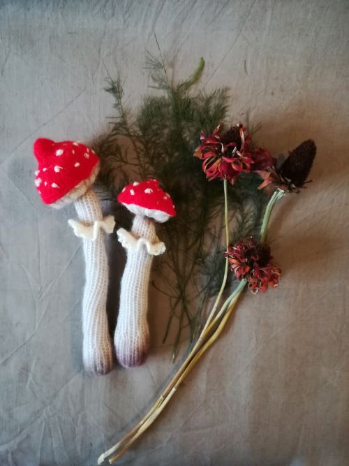 knitted Toadstool mushroom 10