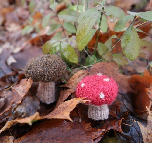 knitted Toadstool mushroom 4