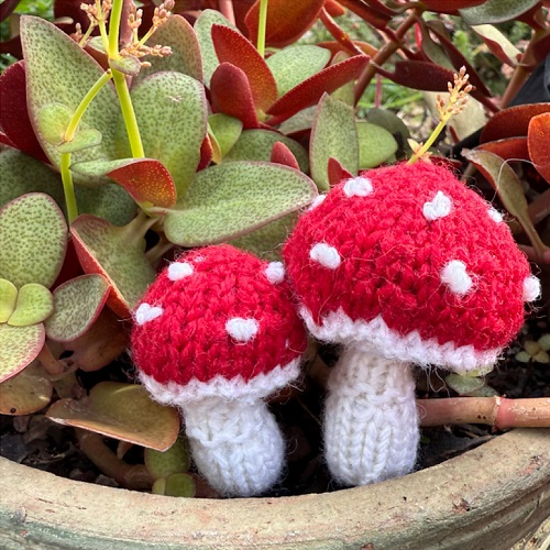 knitted Toadstool mushroom 5
