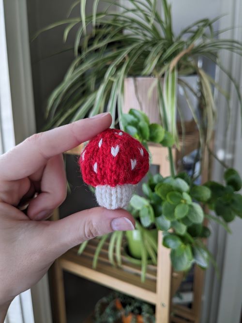 knitted Toadstool mushroom 6