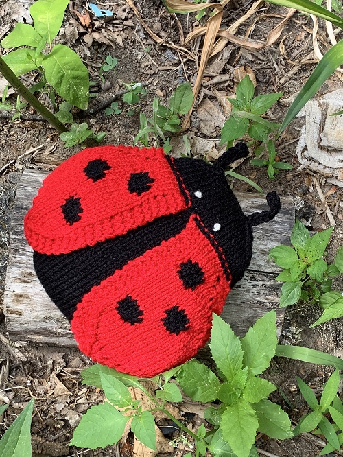 Amigurumi ladybug 10