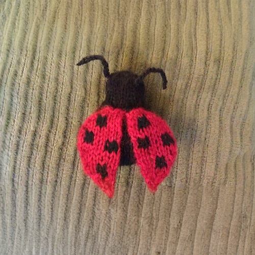 Amigurumi ladybug 2
