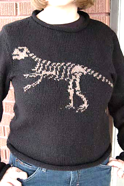 Knitted Dinosaur Sweater Patterns 3