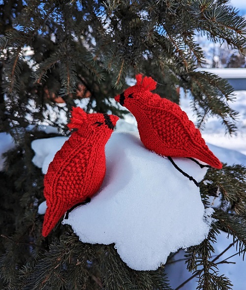 Knitted Cardinal Free Patterns 2