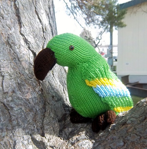 Knitted Parrot pattern 2